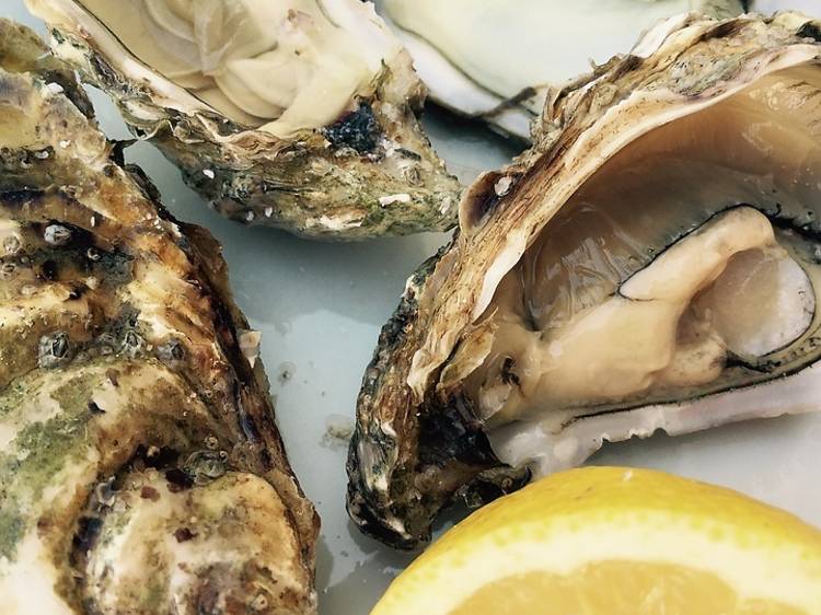 Oyster season begins!