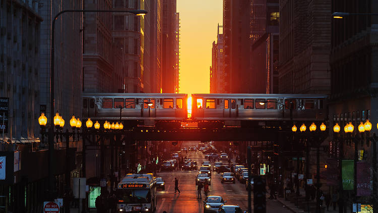 sunsetting between chicago buildings