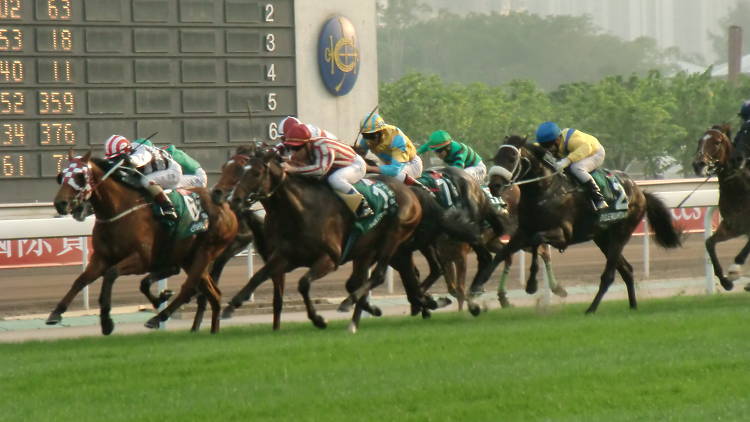Hong Kong horse racing