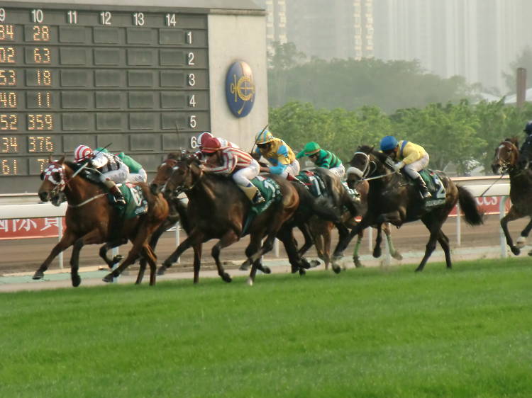 Hong Kong horse racing