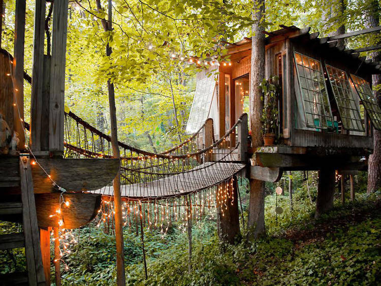 The most impressive Airbnb treehouses in the U.S.