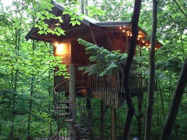 9 Best Airbnb Treehouses In The U.S.