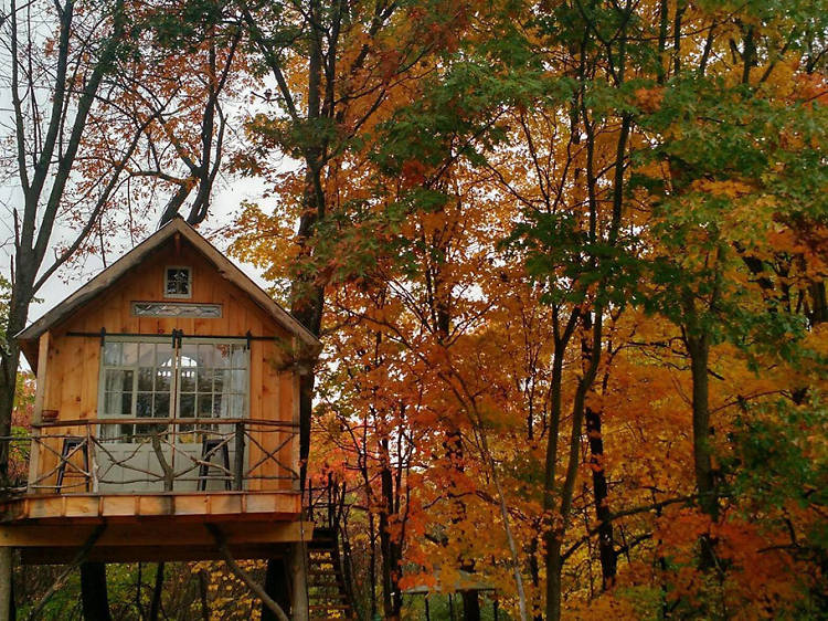 The whispering wind treehouse in Argyle, NY