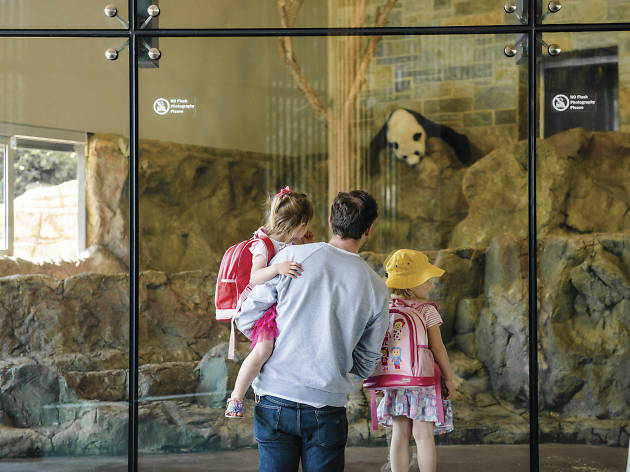 Adelaide Zoo Adelaide Zoo