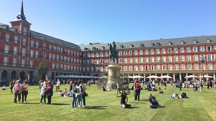 ¡Césped natural en la Plaza Mayor!