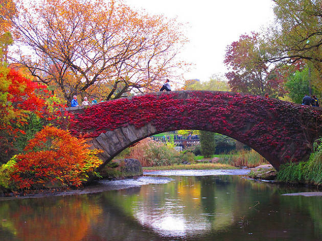 Gorgeous Photos Of Nyc S Central Park In The Fall