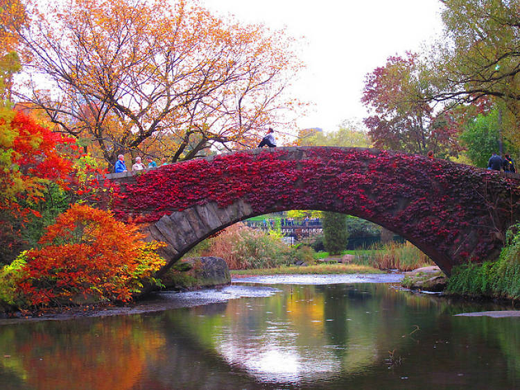 Gorgeous photos of Central Park in the fall