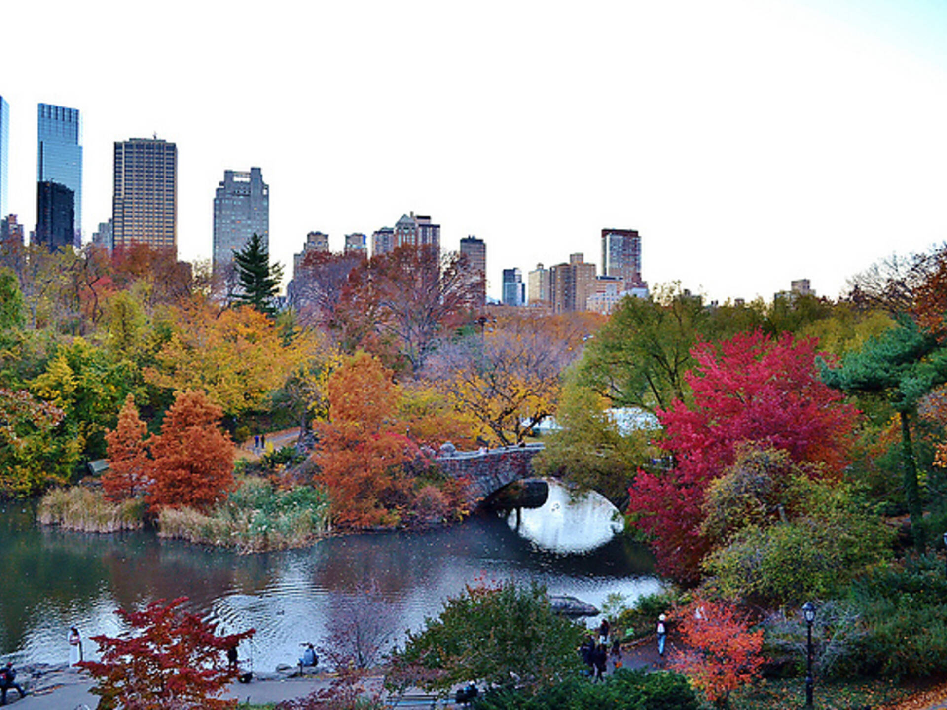 Gorgeous photos of NYC's Central Park in the fall