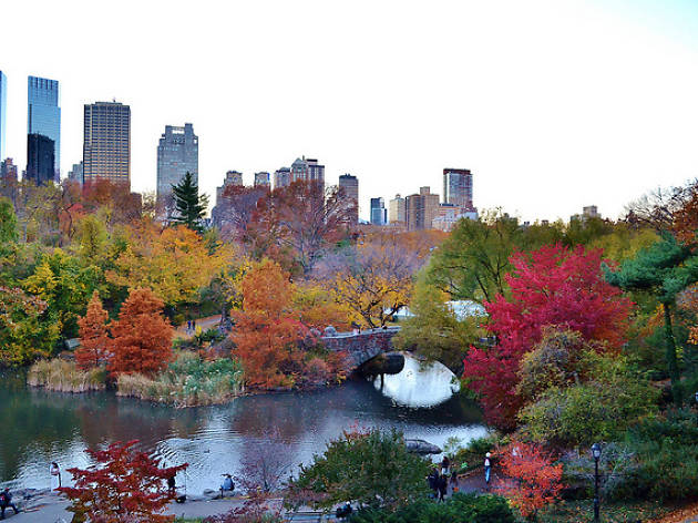 Gorgeous photos of NYC's Central Park in the fall