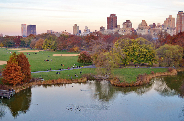 Gorgeous photos of NYC's Central Park in the fall