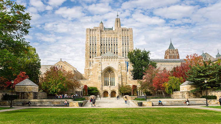 Yale University (and its museums)