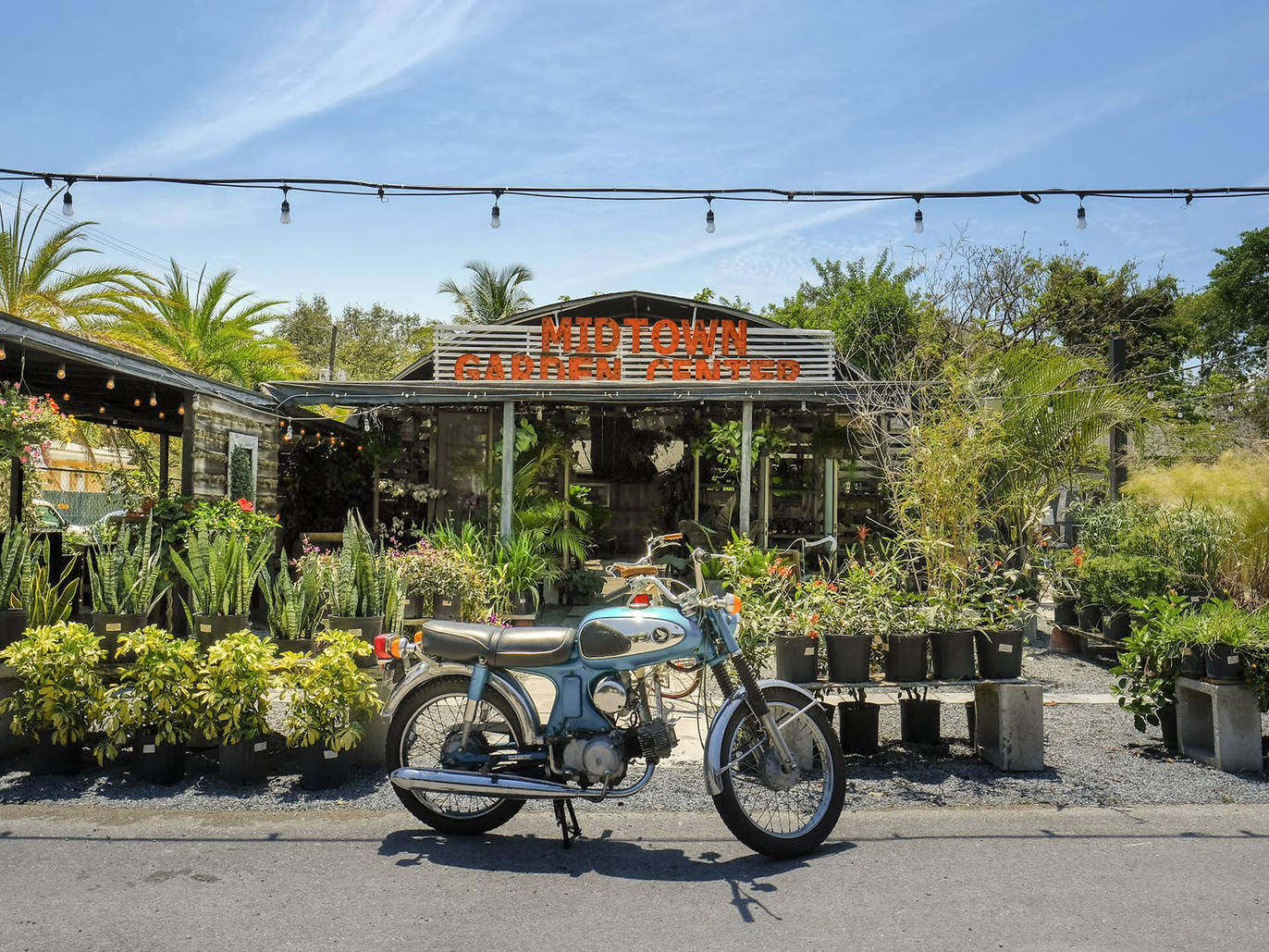 14 Flower Shops in Miami For Bouquets, Florist Arrangements and Gifts