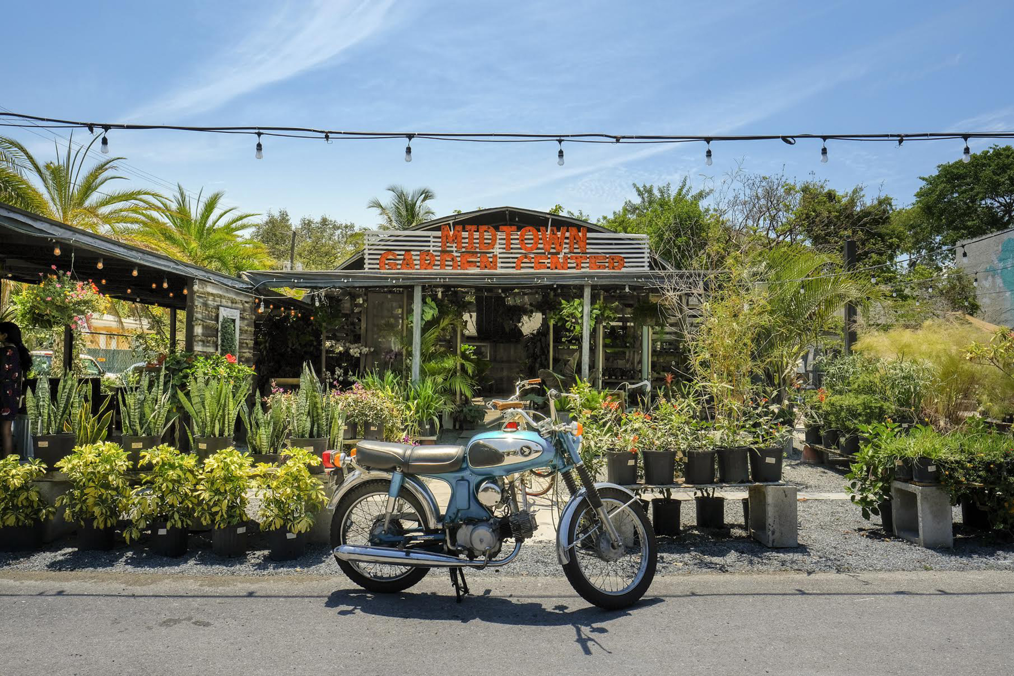 15 Best Flower Shops in Miami to Buy Bespoke Bouquets and More