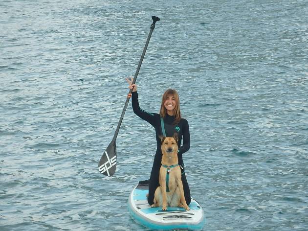 Paddle surf amb gos Paddle surf amb gos