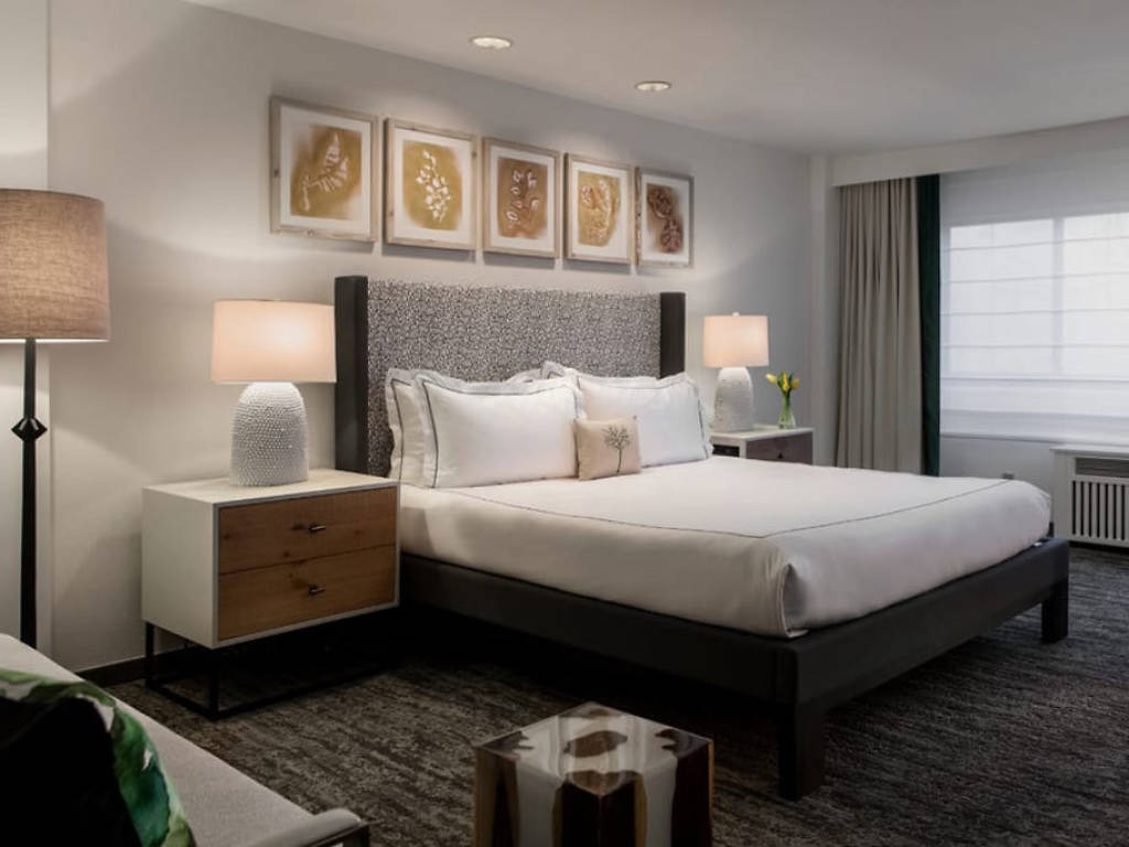 Best Cheap Hotels in DC to Stay Budget Stays in Washington