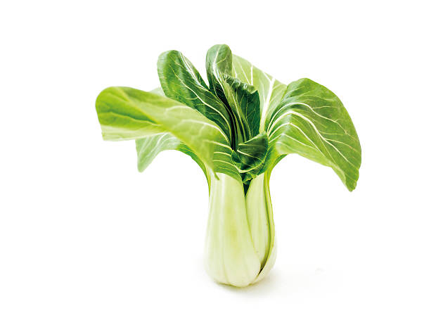 Pak Choi Pak Choi