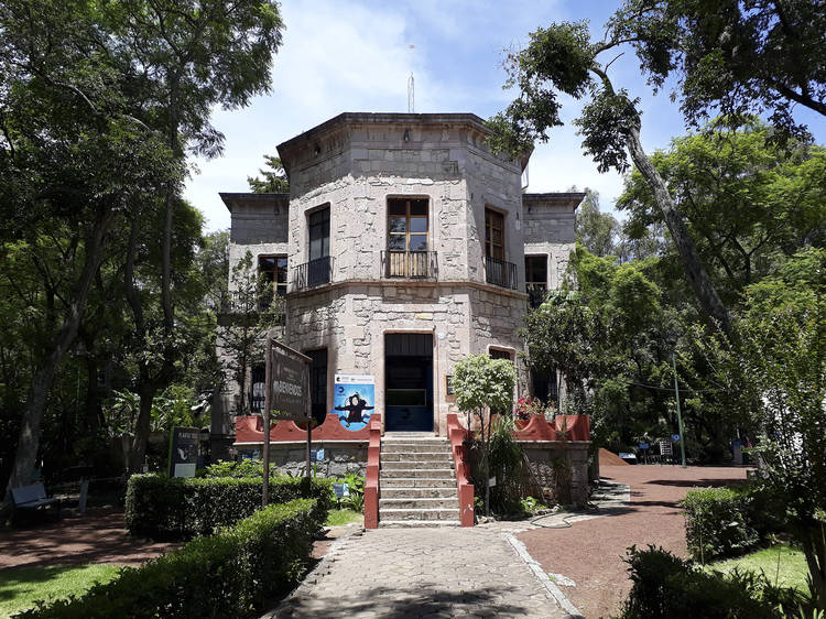 Museo de Historia Natural Manuel Martínez Solórzano