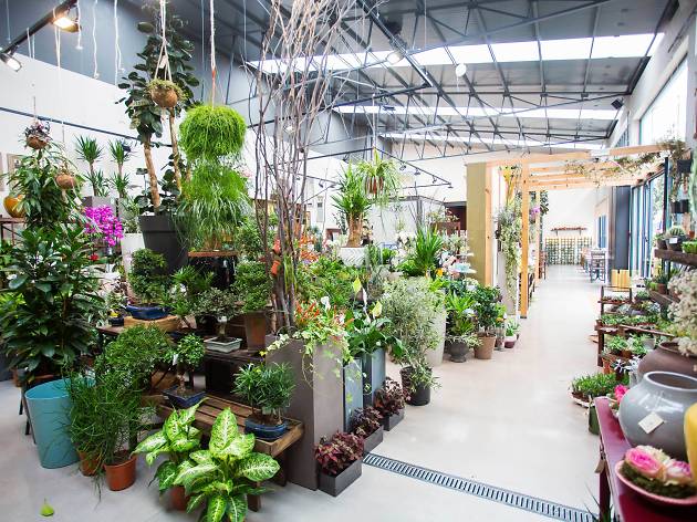 Terrárea Terrárea