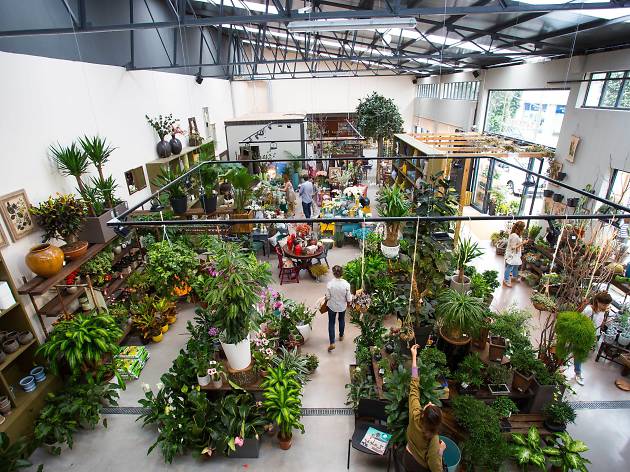 Terrárea Terrárea