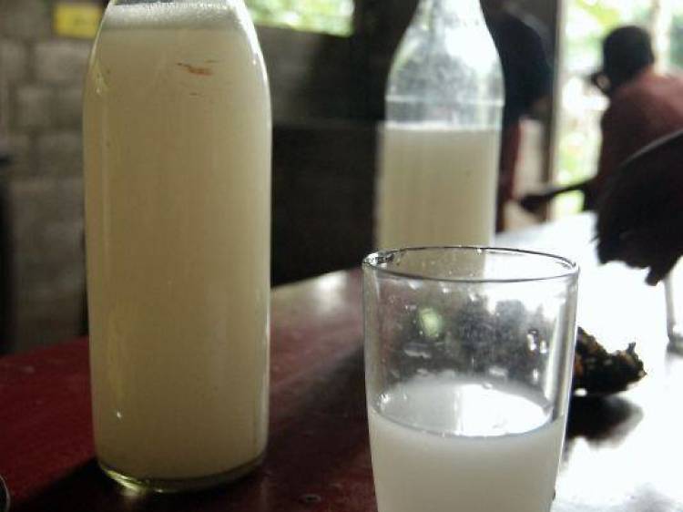 Palm Wine