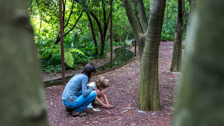 Veja-os aprender no Espaço Biodiversidade