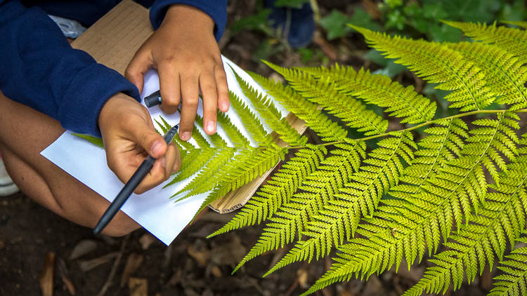 Espaço Biodiversidade