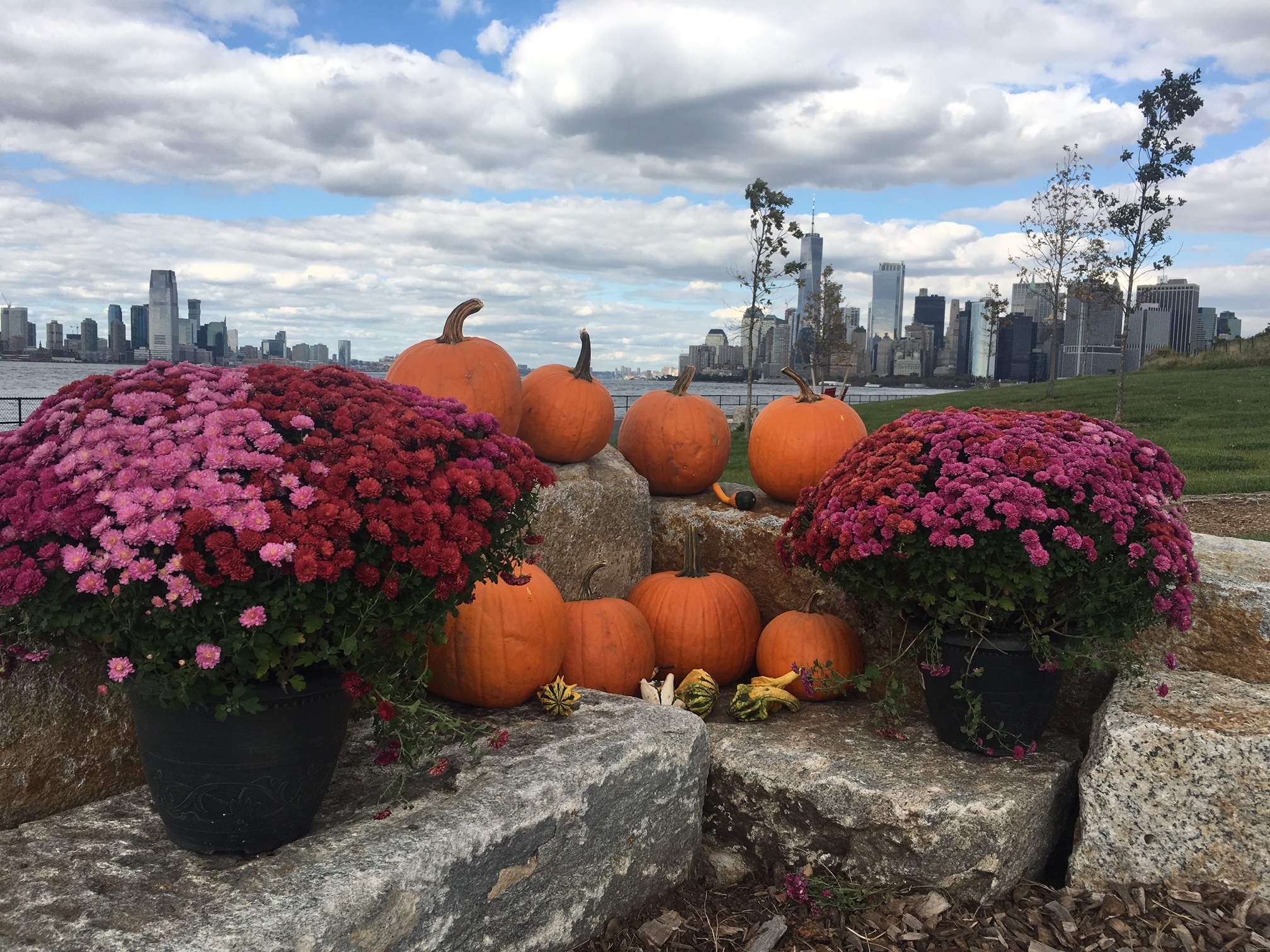 A fullblown pumpkin patch is coming to Governors Island this month