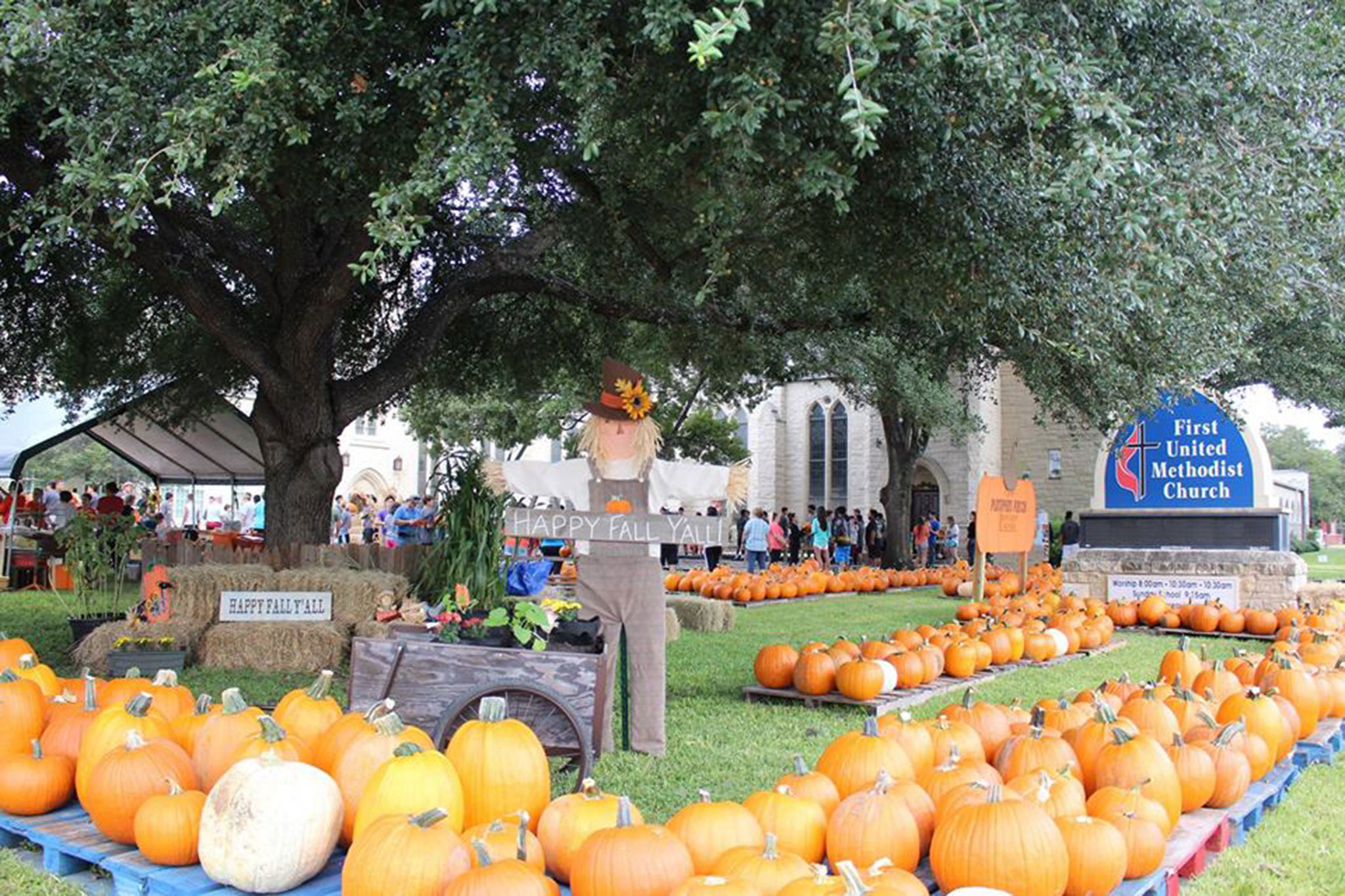 8 Best Pumpkin Patches in Austin