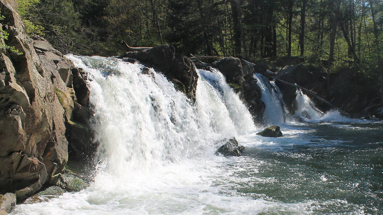 Hannacroix Creek Preserve