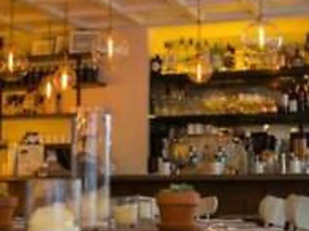 Blue Dog Kitchen Bar Blue Dog Kitchen Bar