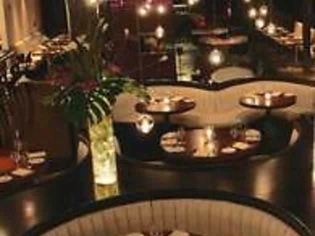 STK - NYC - Meatpacking STK - NYC - Meatpacking