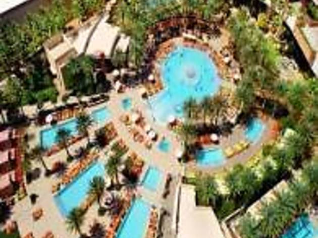 Pool Backyard - Red Rock Casino and Hotel Pool Backyard - Red Rock Casino and Hotel