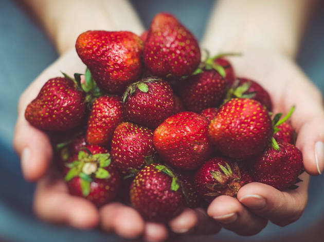 Generic strawberries Generic strawberries