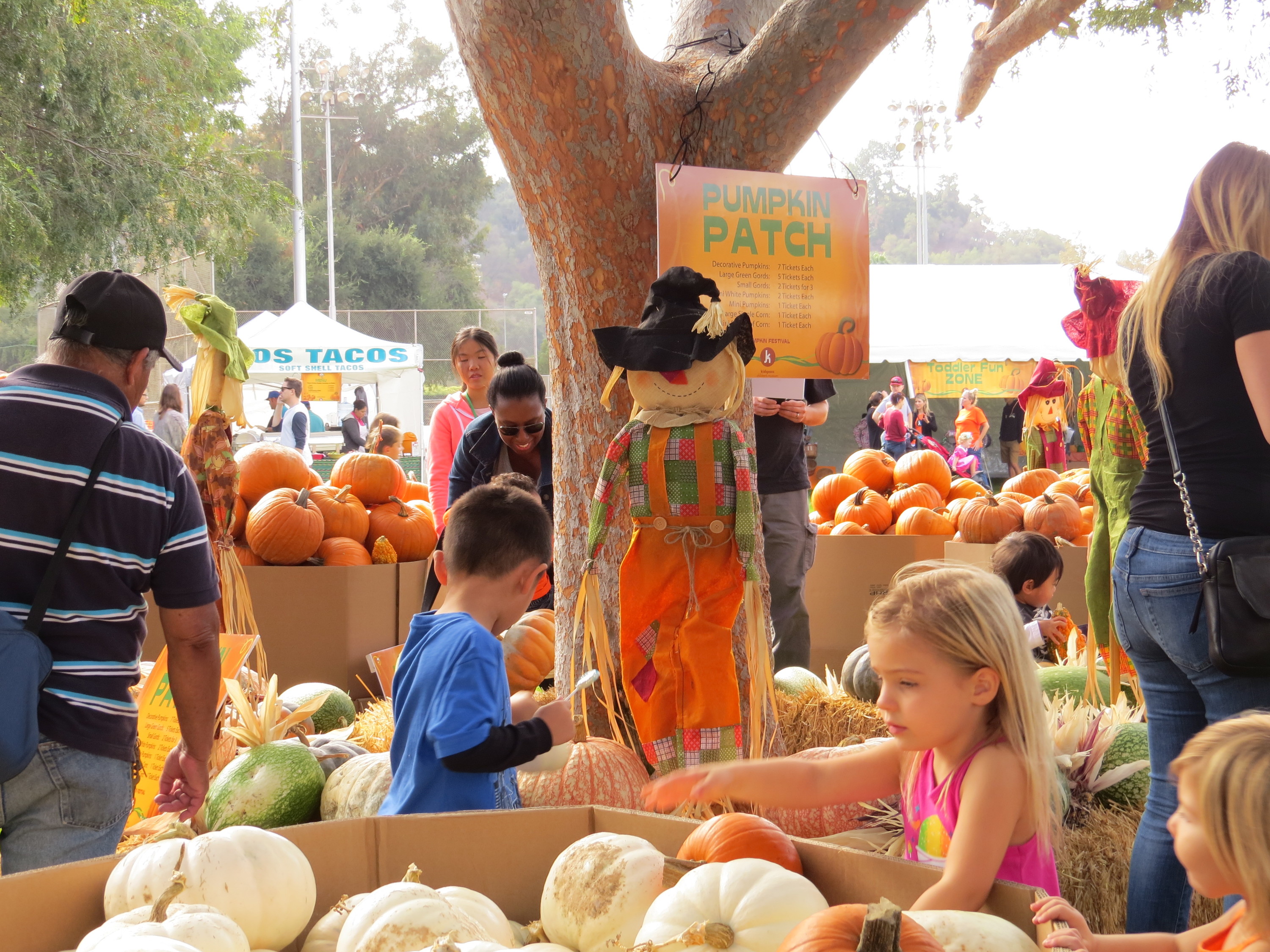 Pumpkin Festival Kids In Los Angeles Pumpkin festival kids in los angeles