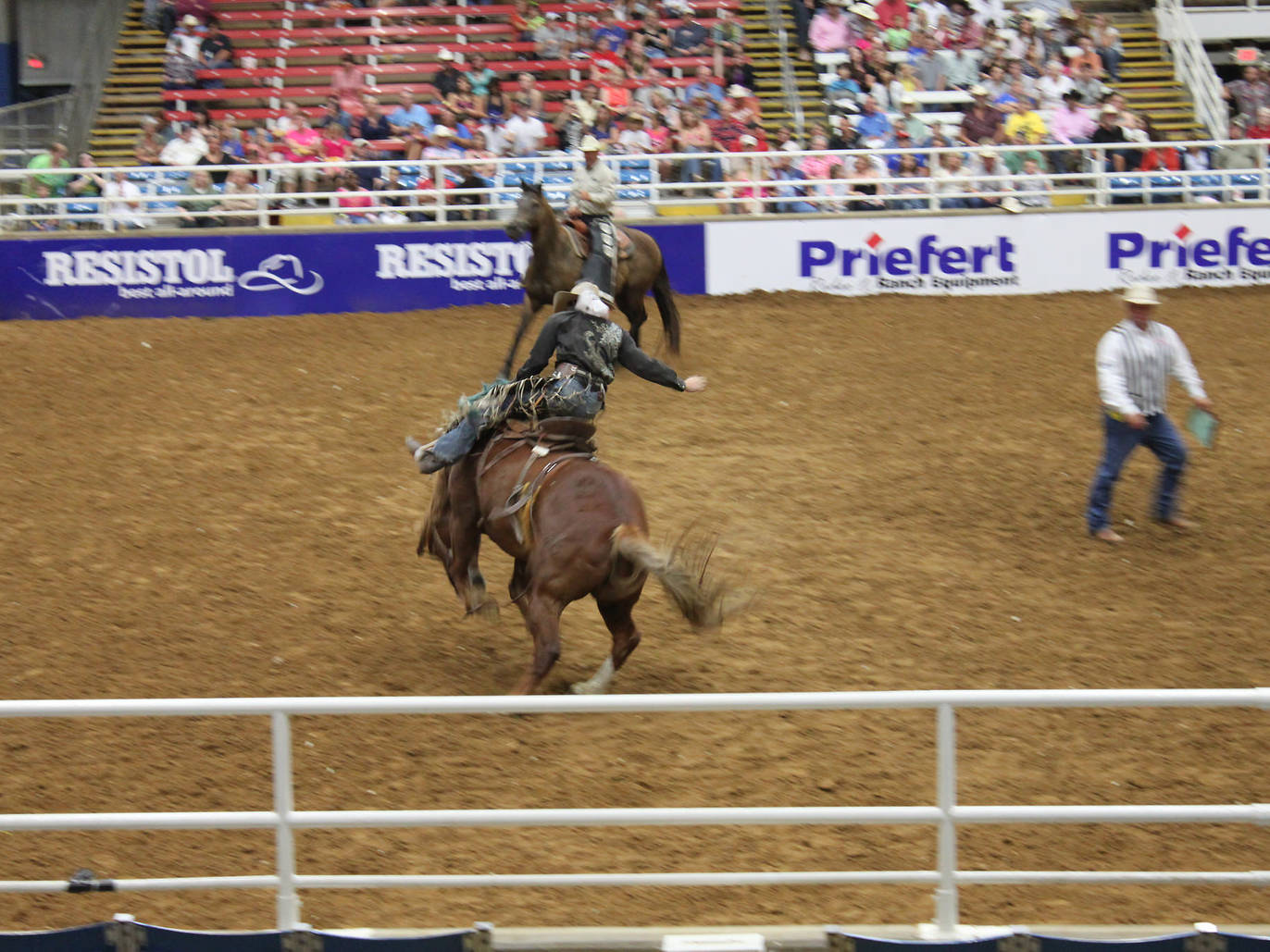 23 Awesome Attractions in Dallas for Both Tourists and Locals