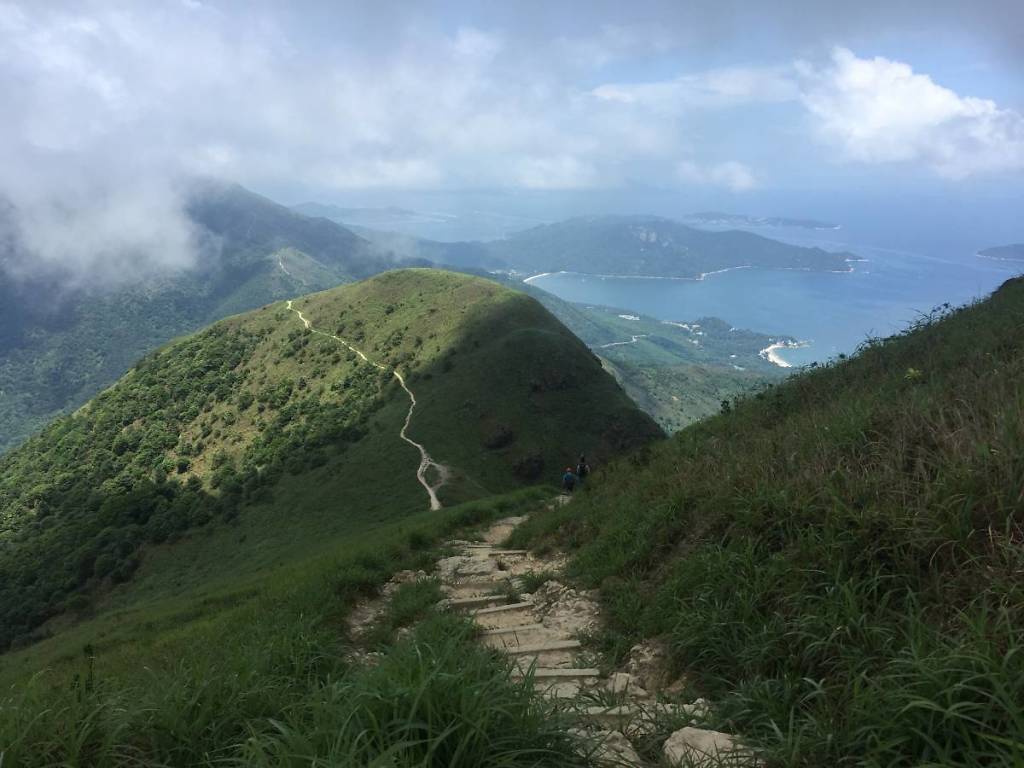 Mui Wo The Ultimate Guide