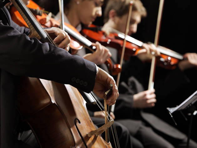 Orchestra Orchestra