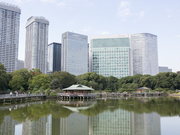 TMG advertorial top Hamarikyu Gardens | Time Out Tokyo