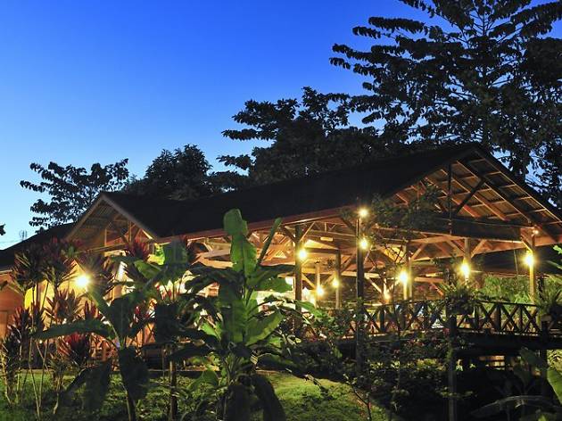 Featured image of post Jungle Resort Pahang : Nandini jungle resort is a magical place for anyone wanting to get away from the hustle and bustle nandini bali jungle resort boasts a hillside swimming pool, an outdoor hot tub, and concealed paths.