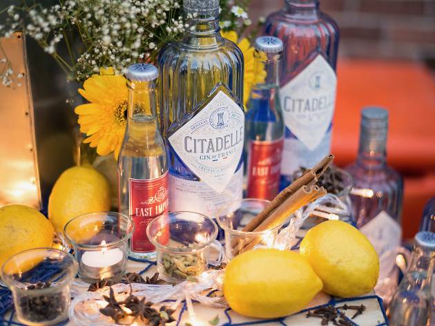 Citadelle gin photo Citadelle gin