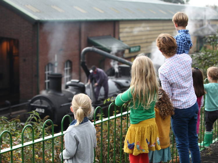 Steam ahead on the Watercress Line 