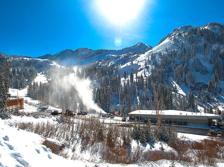 Jackson Hole, Wyoming