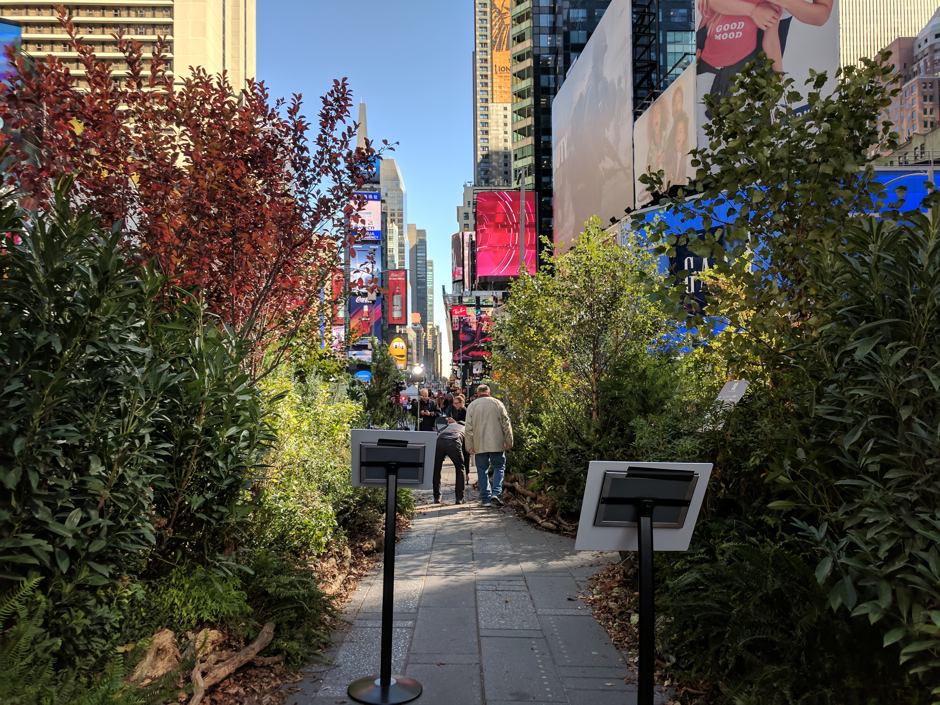 Times Square New York guide for finding things to do