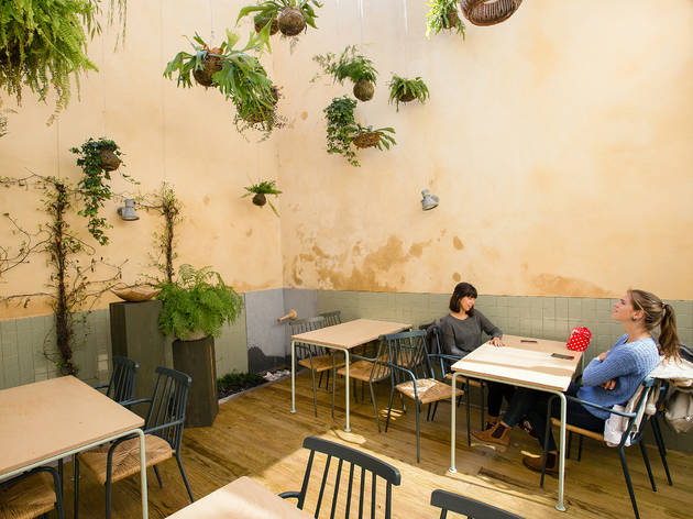 Noshi Coffee - Esplanada