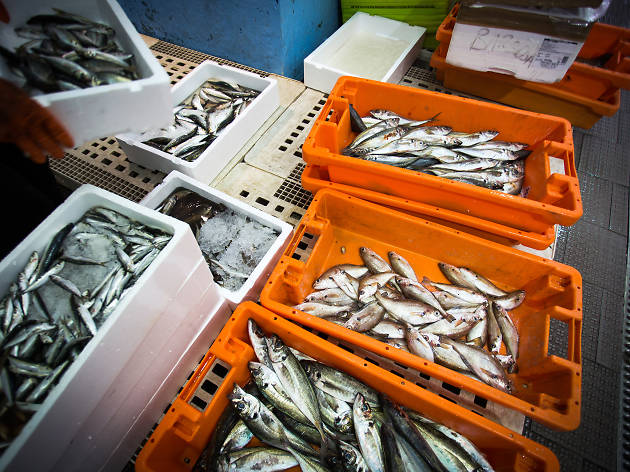 Barbosa Peixe Barbosa Peixe