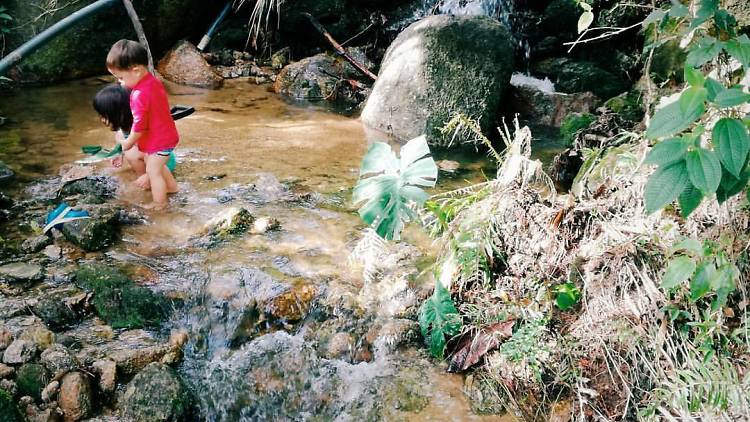 Permaculture Perak