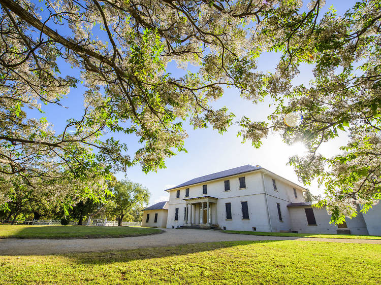 Ghost Night at Old Government House