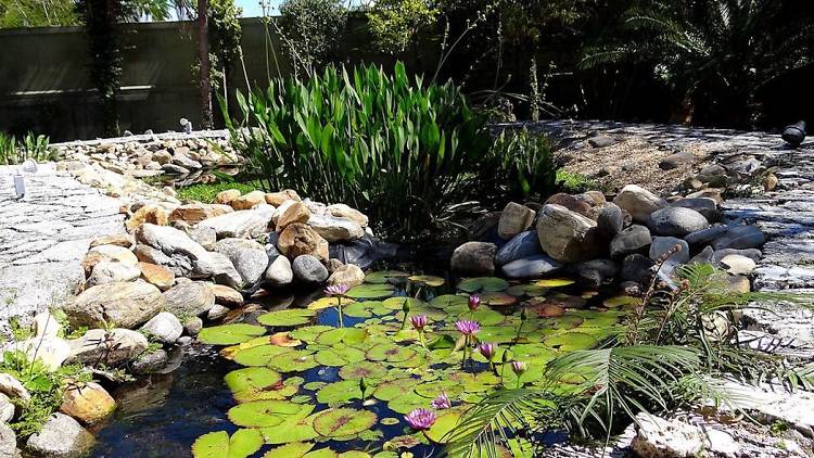 Ichimura-Miami Japanese Garden