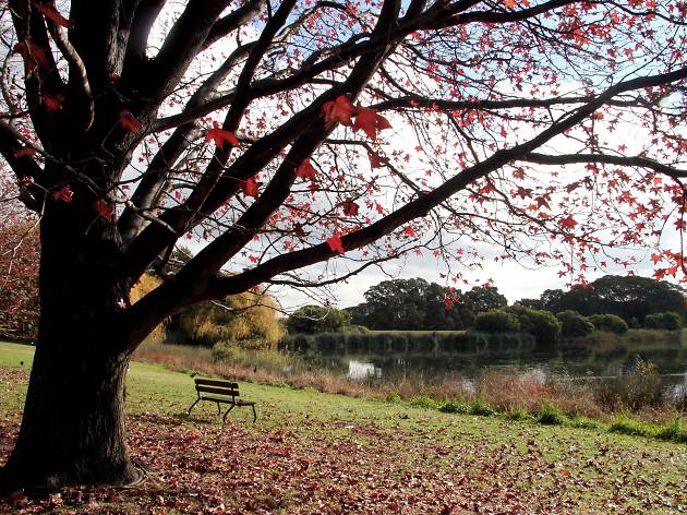 Centennial Parklands Centennial Parklands