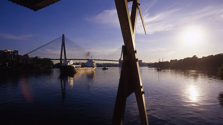 Blackwattle Bay Park